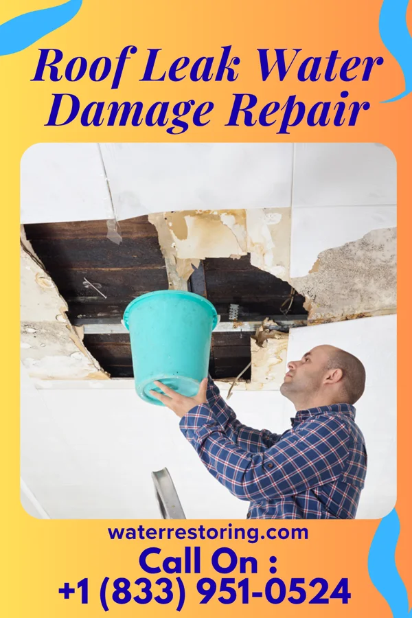 Roof Leak Water Damage Repair in Carthage, TN